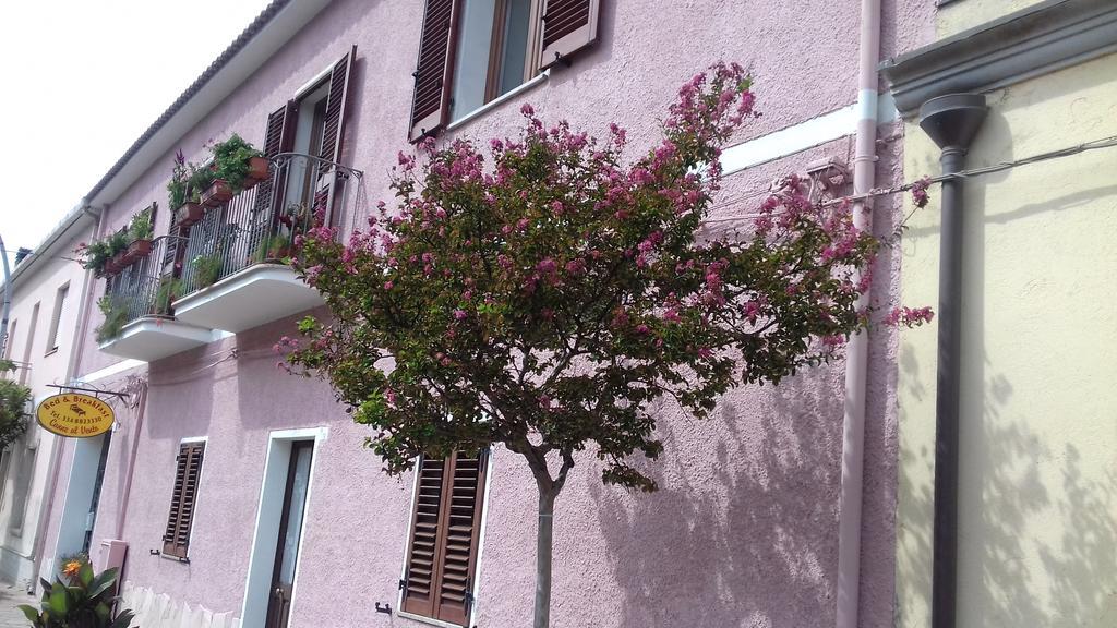 Canne Al Vento Teulada Esterno foto
